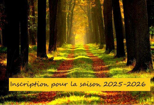 Les Baladapats saison 2025-2026